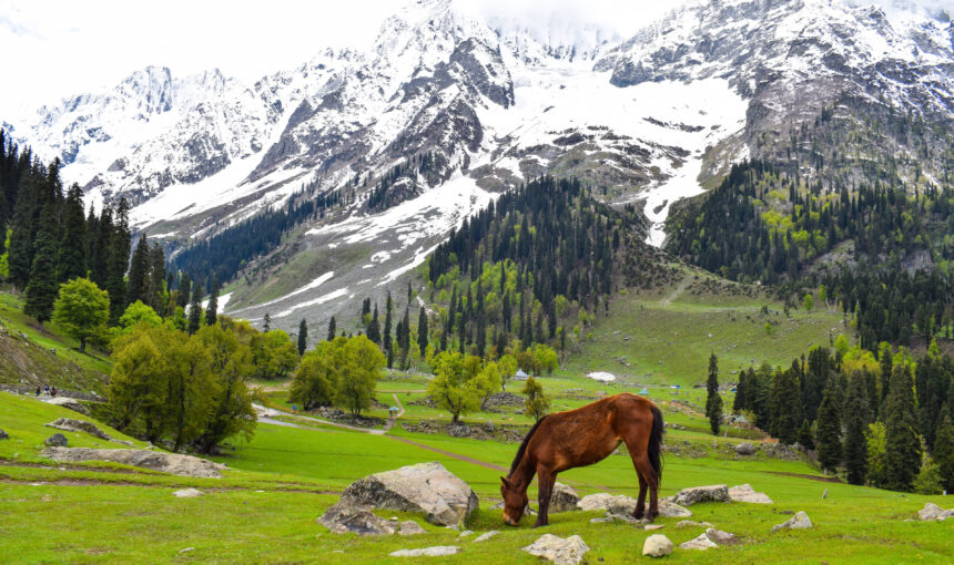 Jammu & Kashmir Tour Package